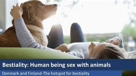 tier xxx|Longest Bestiality Videos